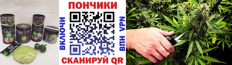 Canna-Cookies конопля магазин продажи Копейск