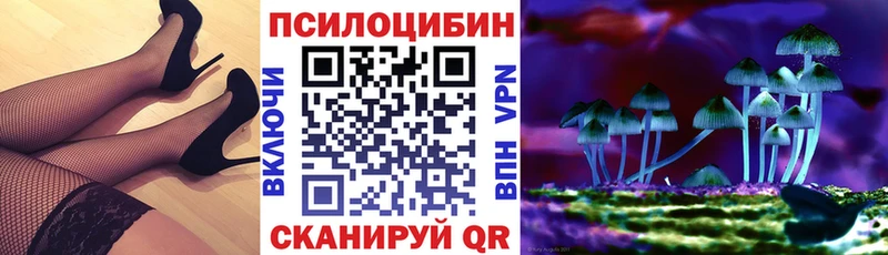 Псилоцибиновые грибы MAGIC MUSHROOMS  цена наркотик  Копейск 